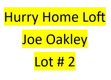 Lot 2 : Hurry Home Loft (Joe Oakley)- 2 bird kit