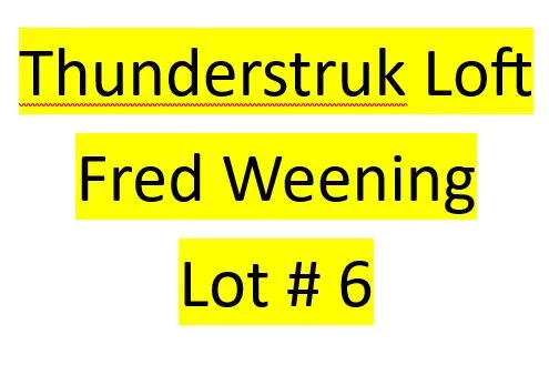 Lot 6 : Thunderstruk Loft (Fred Weening) - 2 bird kit