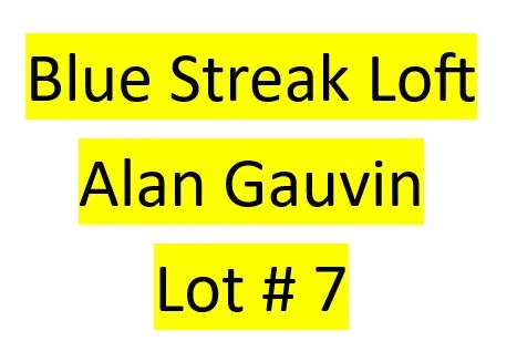 Lot 7 : Blue Streak Loft (Allan Gauvin) - 2 bird Kit