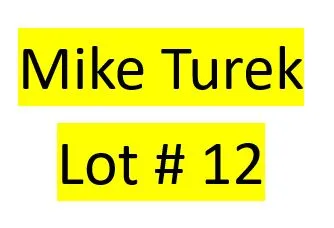 Lot 12 : Mike Turek - 2 bird kit