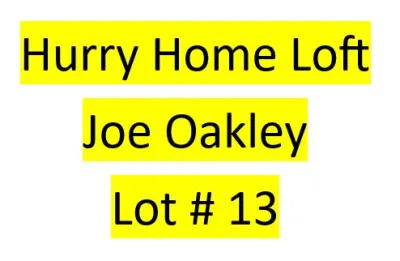 Lot 13 : Hurry Home Loft (Joe Oakley) - 2 bird kit