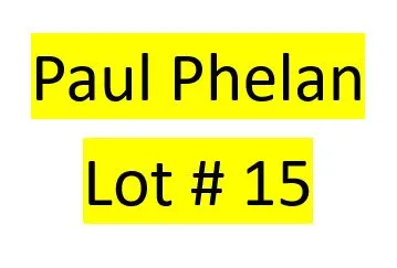 Lot 15 : Paul Phelan - 2 bird kit