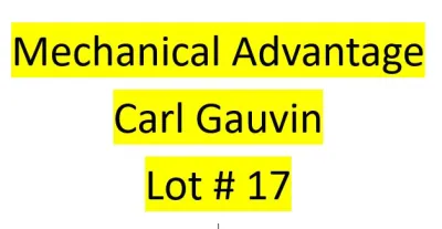 Lot 17 : Mechanical Advantage (Carl Gauvin) - 2 bird kit