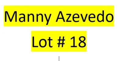 Lot 18 : Manny Azevedo - 2 bird Kit