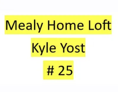 Lot 25 : Mealy Home Loft (Kyle Yost) - 2 bird kit