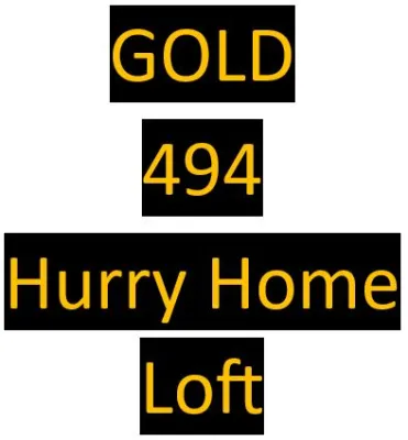 494 Gold - bred By Hurry Home Loft