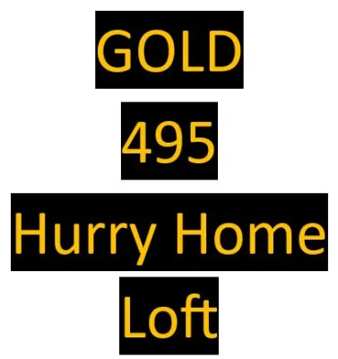 495 Gold - bred by Hurry Home Loft