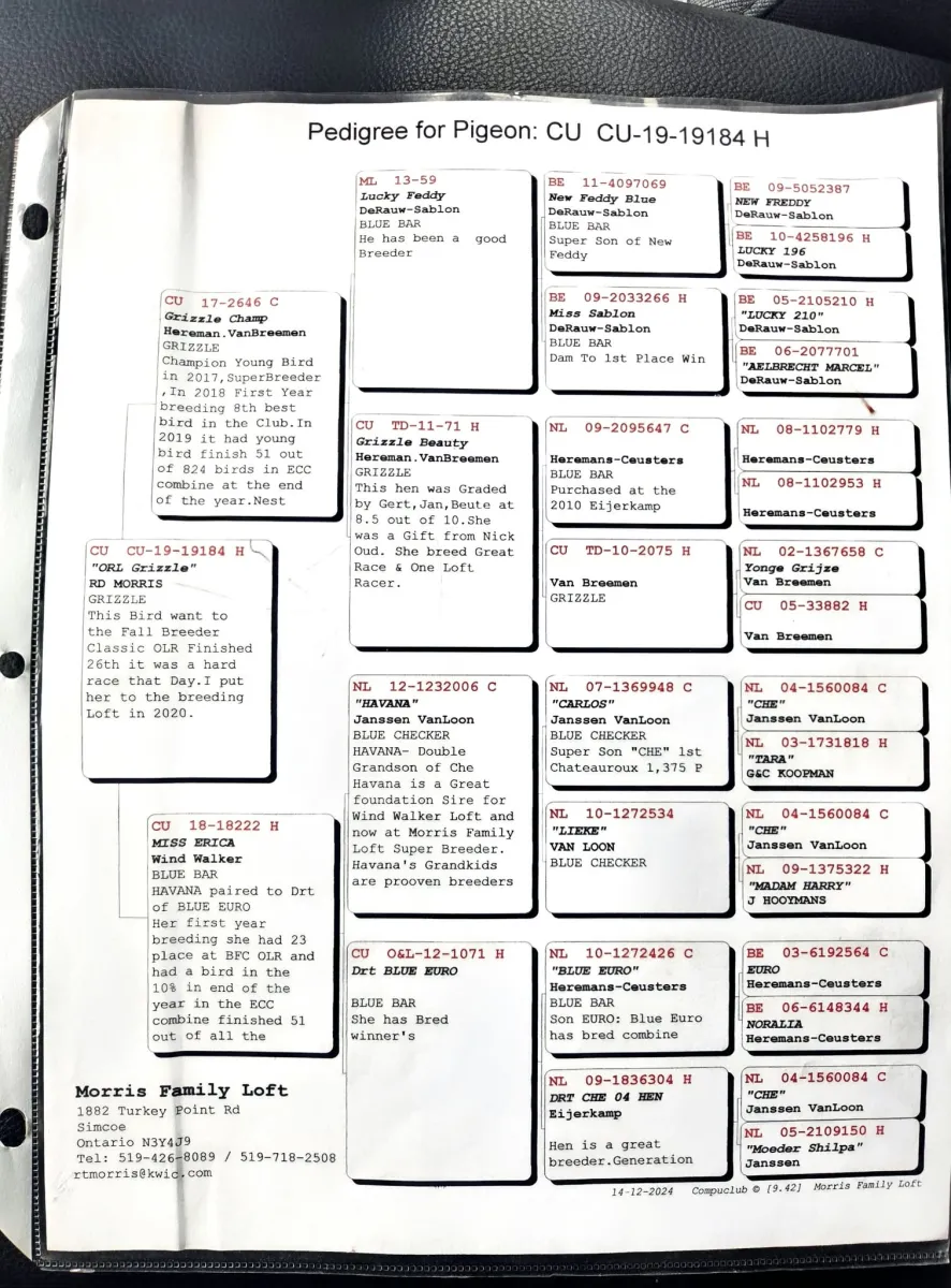Auction Image 2