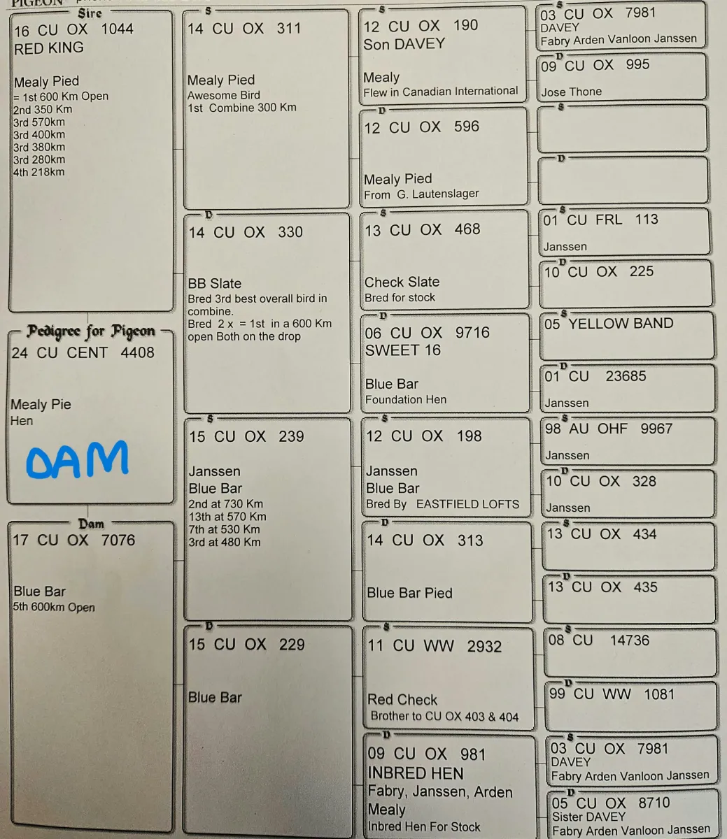 Auction Image 3