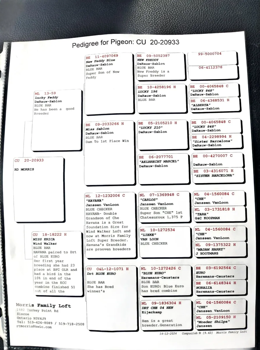 Auction Image 2
